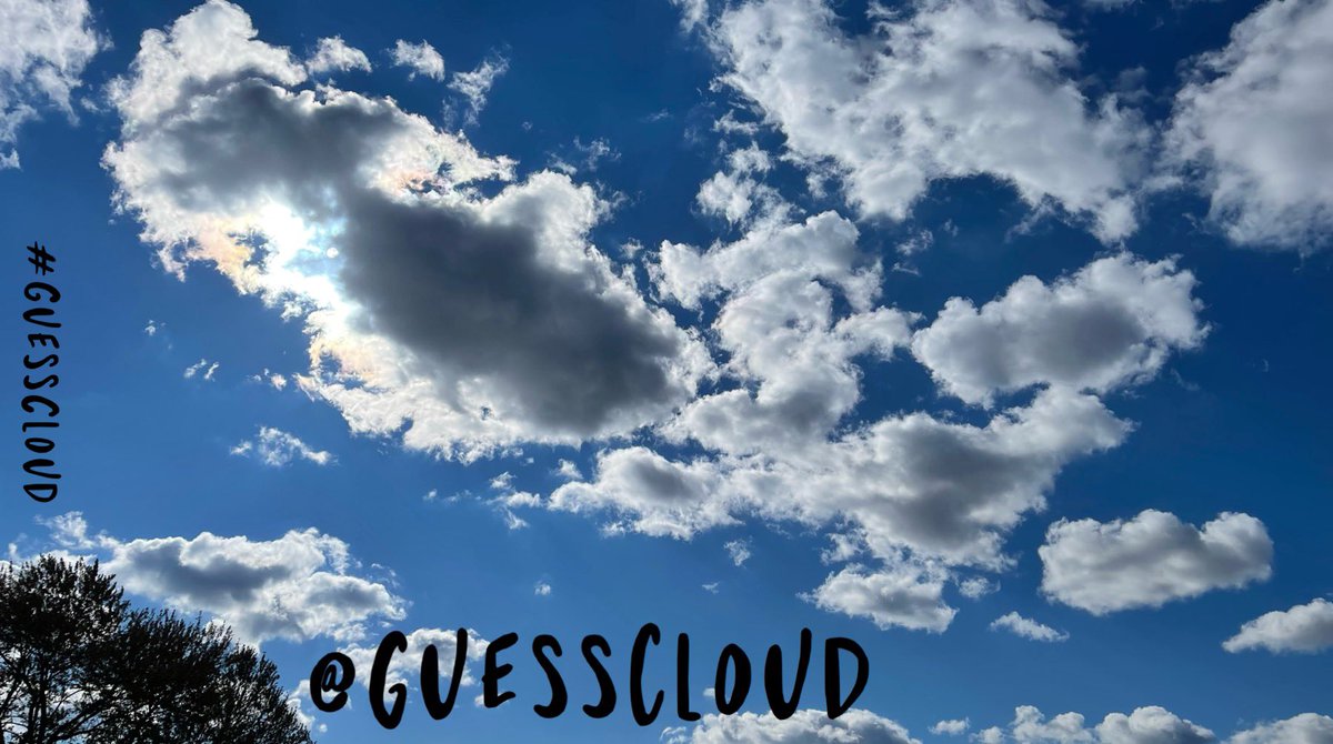 GuessCloud_'s tweet photo. ๐ค #IfIHadATrillionDollars I would definitely help @TheOceanCleanup @teamseas and take care of the homeless & hungry. ๐ฅฐ๐๐ผ #GuessCloud https://t.co/J1NONNjeTB