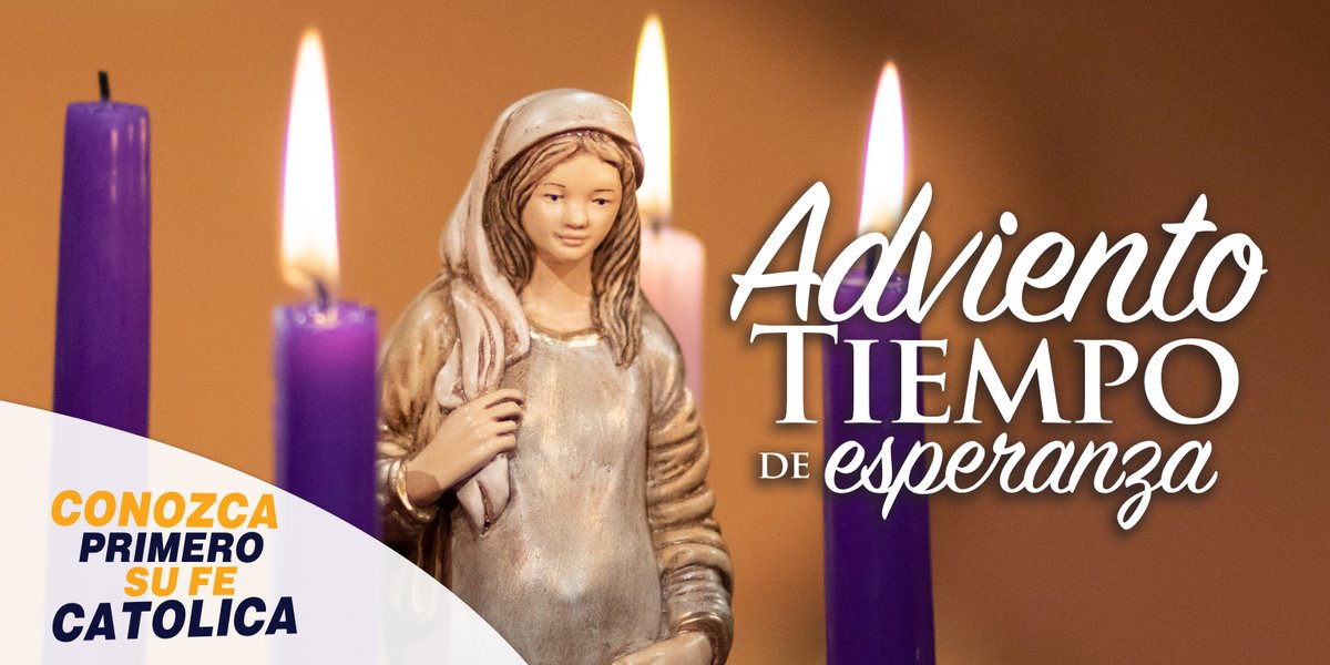 EWTN ESPAÑOL tweet media