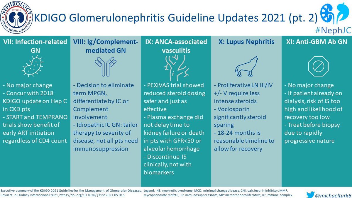 The 2021 KDIGO Glomerulonephritis Guideline update was packed with information! Check out my attempt at distilling them down in preparation for tonight’s #NephJC chat