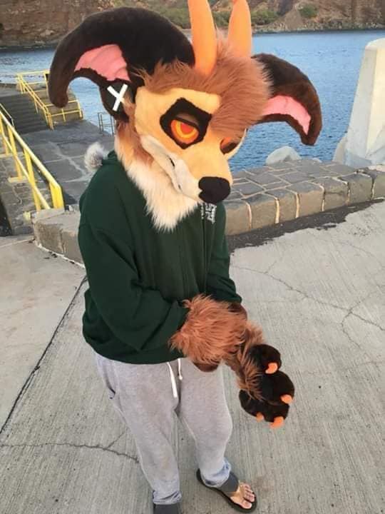 JustSomeFurries's tweet photo. I don't post on here, Usually on tiktok and instagram of the same handle. But uh- Hey! :) nice to meet you. I collect fursuits and love making and buying furry art :D I post a lot of content over on the clock app (tiktok) https://t.co/8V8GXXNPwY