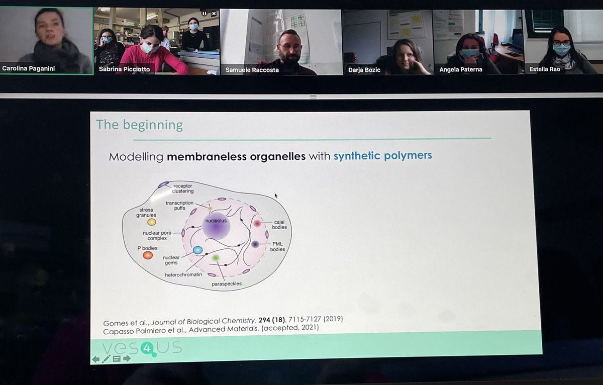 Sabrina Picciotto tweet media