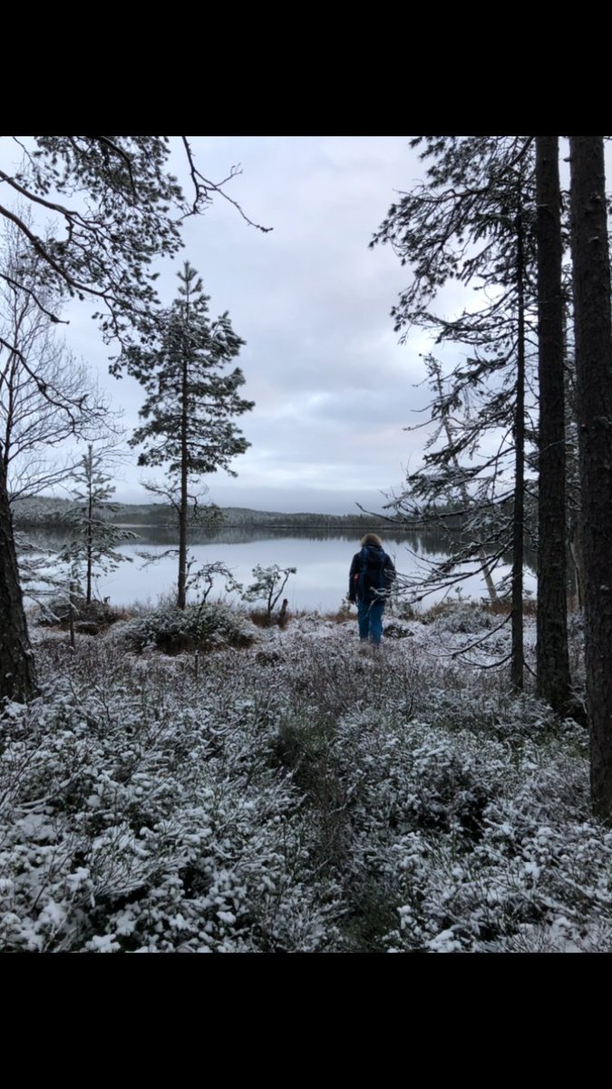 inesusanne's tweet photo. @MauriceSundy @DrHyfe @EivindKverme @JenniNorden @JohanAsplund4 @LNybakken @Rieke_Lo @EivindKverme enjoying the beautiful view (and the first snow!) near our CC site in Varaldsskogen. #Ecoforest https://t.co/dwwtWWV9fl