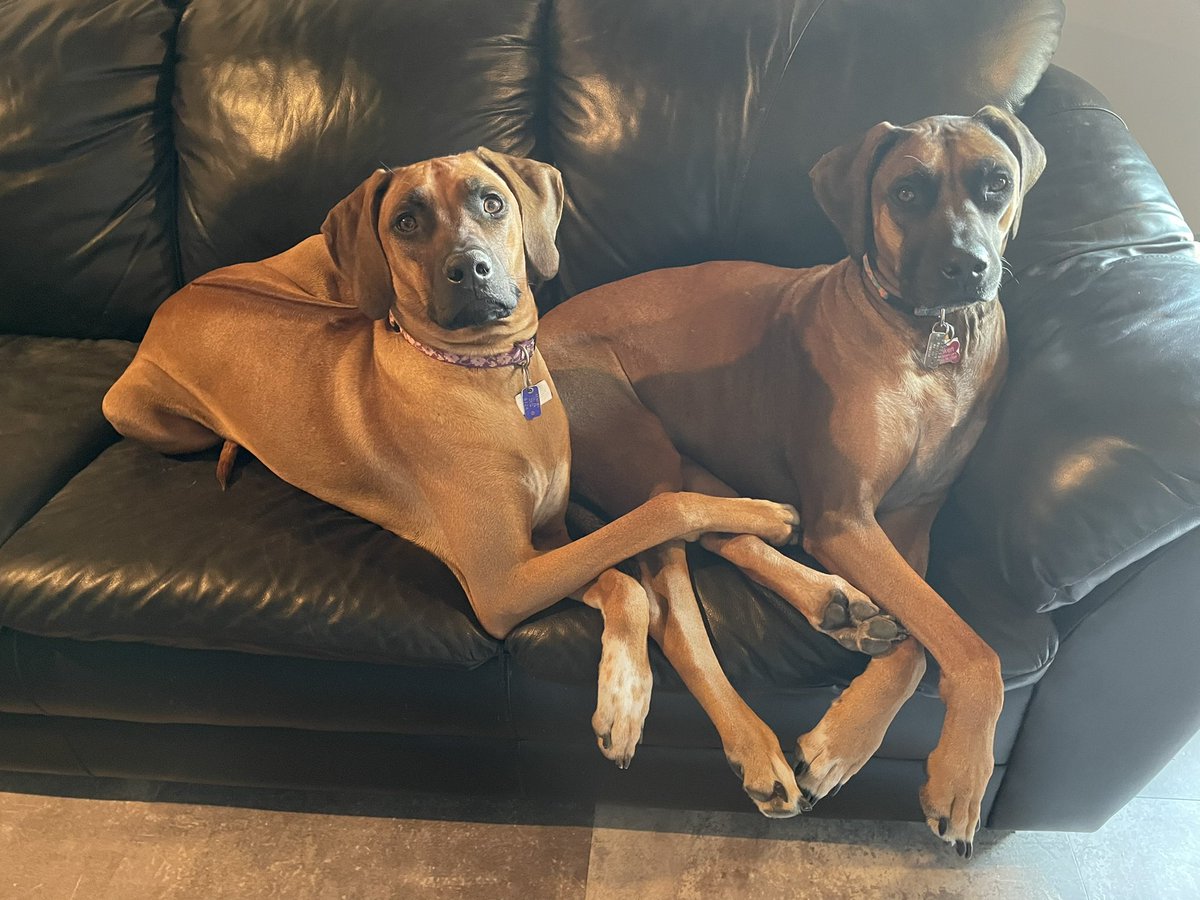 My baby girls.