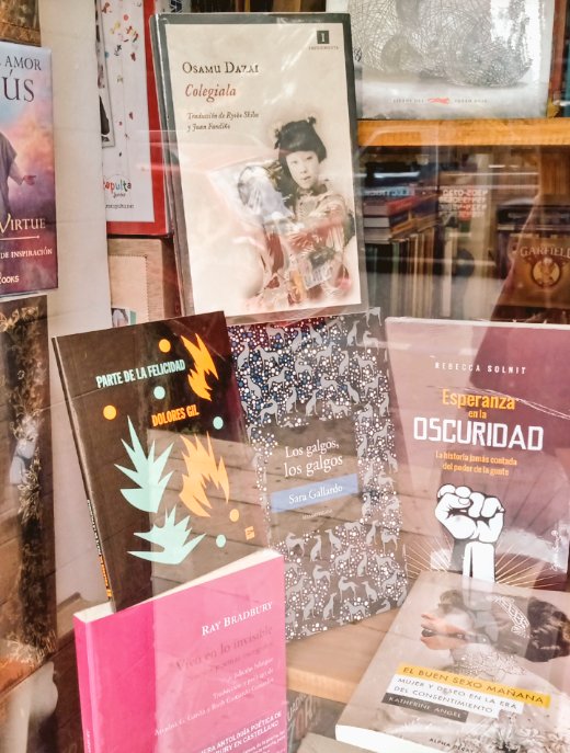 Luxerburguesa's tweet photo. Vi luz y compré @joanadalessu
un "Parte de la felicidad", que está arriba de un #Bradbury al lado de una #Gallardo y una #Solnit 🧨🧡💚🖤
#DoloresGil https://t.co/Qor8BAqCAP