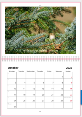 Jake_Gearty's tweet photo. Lots of choices out there, but if anyone is undecided on a calendar to buy for themselves, family or friend mine is an option and only £10! I've attached a few example months. Please reply to this if you are interested or send me a DM. https://t.co/6k0i1Vu3ZJ