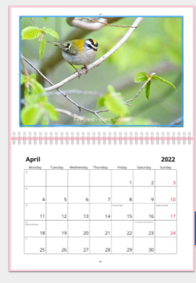 Jake_Gearty's tweet photo. Lots of choices out there, but if anyone is undecided on a calendar to buy for themselves, family or friend mine is an option and only £10! I've attached a few example months. Please reply to this if you are interested or send me a DM. https://t.co/6k0i1Vu3ZJ