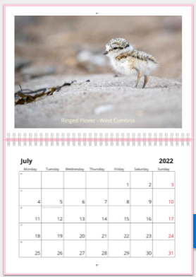 Jake_Gearty's tweet photo. Lots of choices out there, but if anyone is undecided on a calendar to buy for themselves, family or friend mine is an option and only £10! I've attached a few example months. Please reply to this if you are interested or send me a DM. https://t.co/6k0i1Vu3ZJ