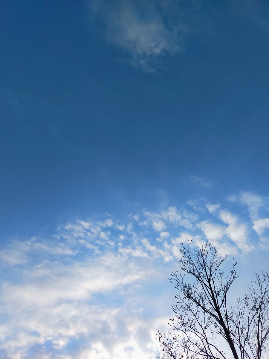 メイル (@meiru_y) / Posts / X