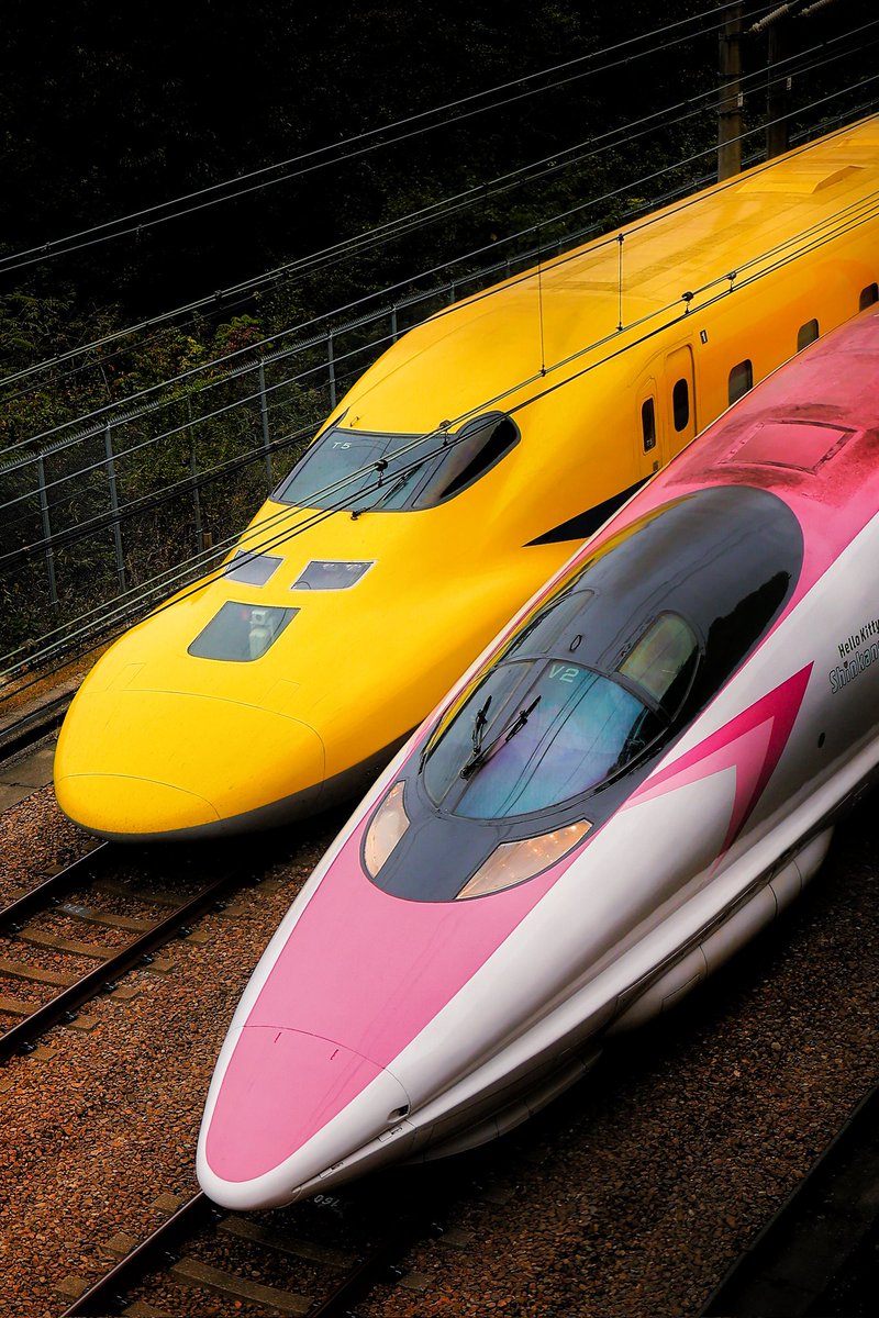 mitsu40482336's tweet image. #神ショット選手権2021
これはもう１回撮ろうとしても撮れませんでした。
奇跡の1枚です。