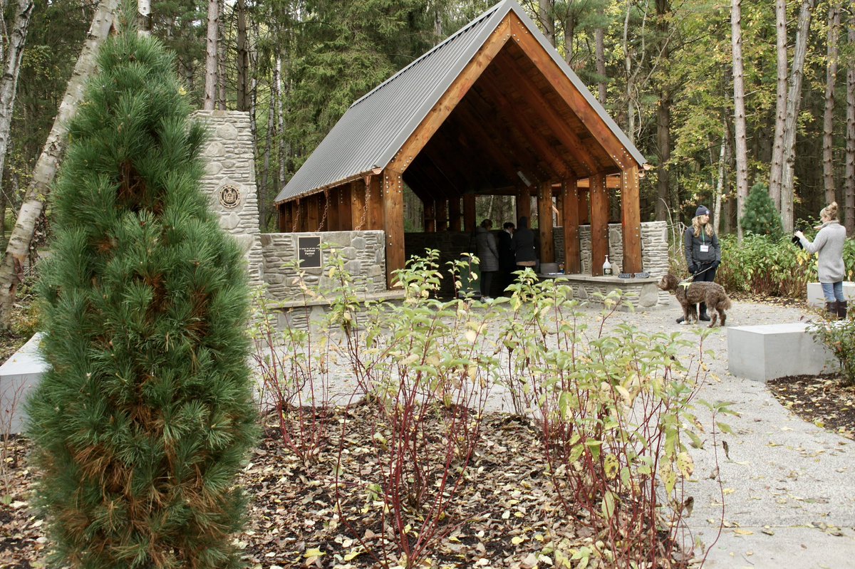 Miss Burzynski tweet media