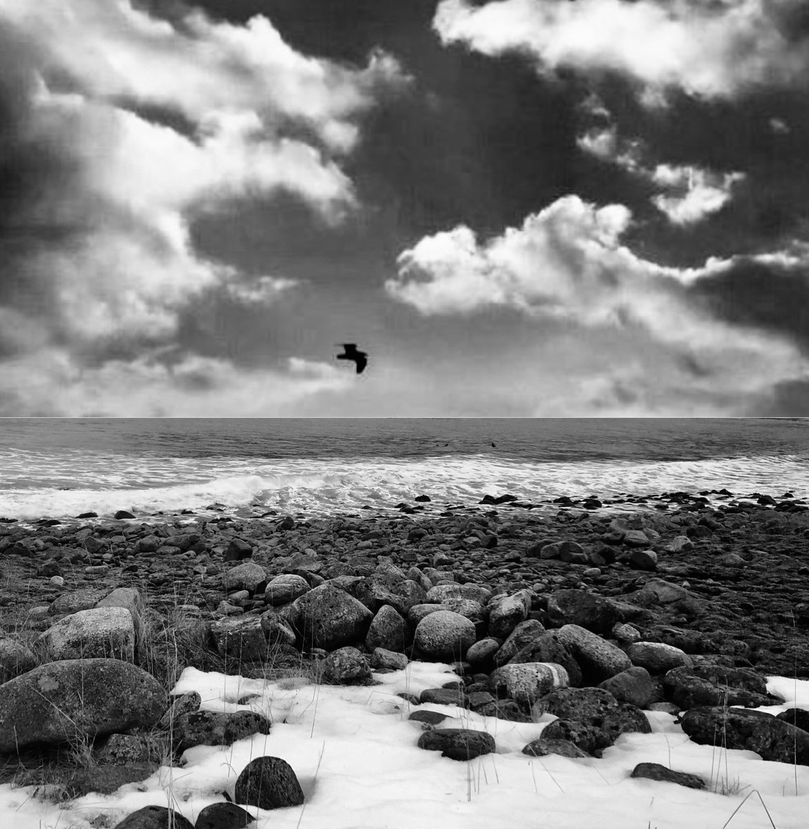 Salthill Skyline meets Arctic Seashore 

#blackandwhitephotography #SalthillSeaside #LofotenIslands
#ByTheSea #CompositeShot 🦅