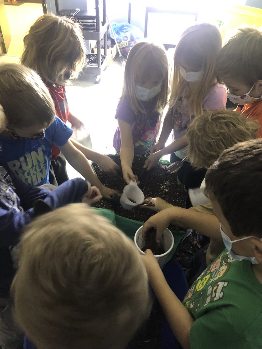 AngieCML3's tweet image. The Grade 1 students @RandomIslandAca had a fantastic afternoon transplanting their tomato plants into the grow boxes. We may have even heard the words “Best day Ever!” @littlegrnthumbs #HandsOnLearning