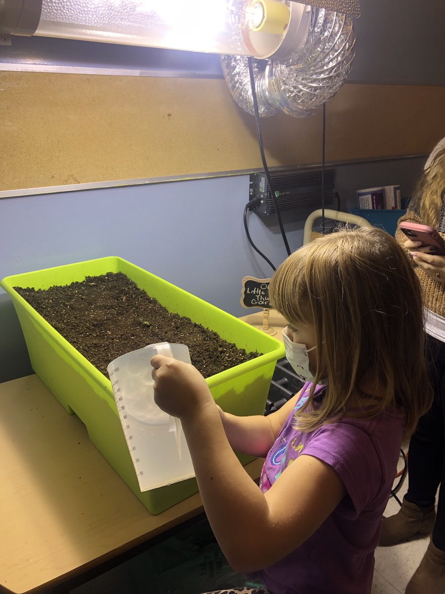 AngieCML3's tweet image. The Grade 1 students @RandomIslandAca had a fantastic afternoon transplanting their tomato plants into the grow boxes. We may have even heard the words “Best day Ever!” @littlegrnthumbs #HandsOnLearning
