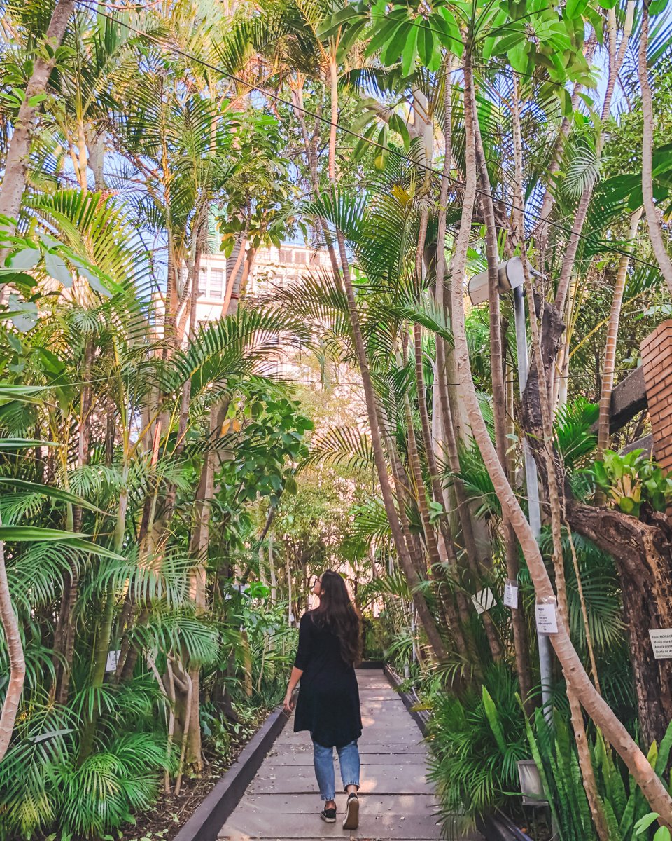 ExperimenteSP's tweet image. AS VISITAS AO TOPO EDIFÍCIO MATARAZZO ESTÃO DE VOLTA! 😍

📍Viaduto do Chá, 15 - Centro
⏰  Seg a Sáb às 14h30 e 16h30 
Não requer agendamento, só é preciso comparecer presencialmente na entrada principal do evento
É GRATUITO ❤