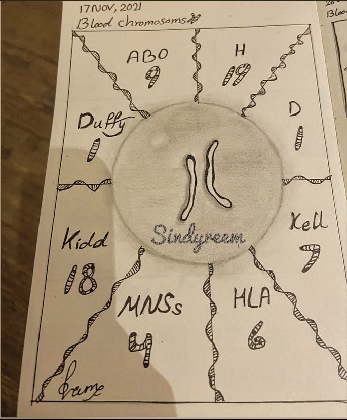meeReemLAB's tweet photo. Blood types chromosomes 🧬

#Medical #laboratory #Genetics #MLS #ABO #Blood 

رقم كروموسوم بعض انتيجينات الدم https://t.co/jsMtAO37A9