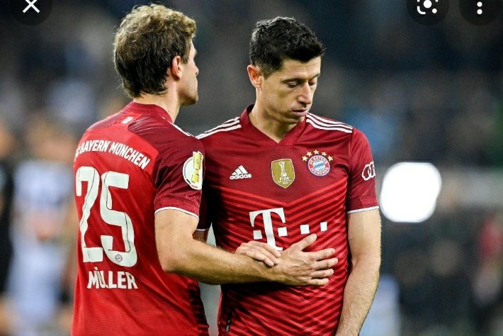 WILD BULLS tweet media