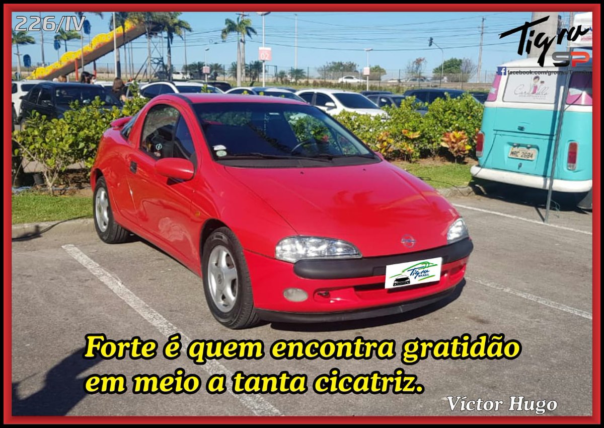 gomestst's tweet photo. 💡 fica a dica! 😉
#FleetsDay https://t.co/3UkLflOyj9