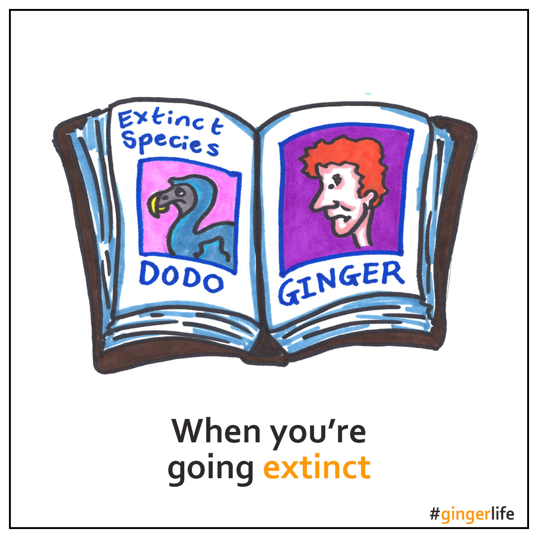 GingerCartoons's tweet photo. Know a ginger who'll relate to these #gingerlife cartoons? Find them on all sorts of Christmas gifts on my online shop! Any requests, give me a shout... 
https://t.co/2vSOs1JUwC
#redhead #ginger #gingerproblems
#Christmas #xmasgifts https://t.co/as7LOYIPZX