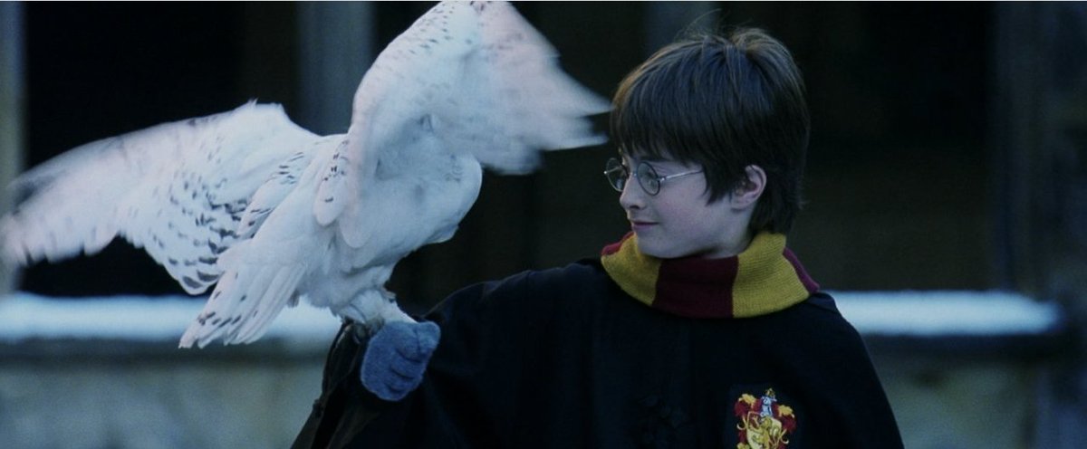 cinebinoculo's tweet photo. Há 20 anos estreava o primeiro filme de Harry Potter, 'Harry Potter e a Pedra Filosofal'! 🥺 https://t.co/v0KQk1ZXY6
