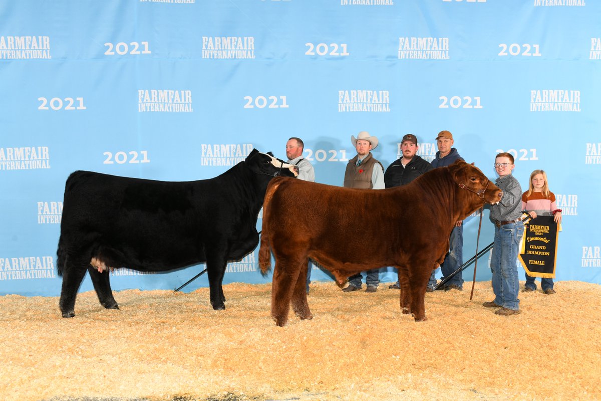Farmfair International (@farmfairint) on Twitter photo Simmental Grand Champion Female title went to RF SCREAM 974G from <a href="/RancierFarms/">Rancier Farms</a> in Killam, AB. Congrats! Simmental Grand Champion Female title went to RF SCREAM 974G from <a href="/RancierFarms/">Rancier Farms</a> in Killam, AB. Congrats!