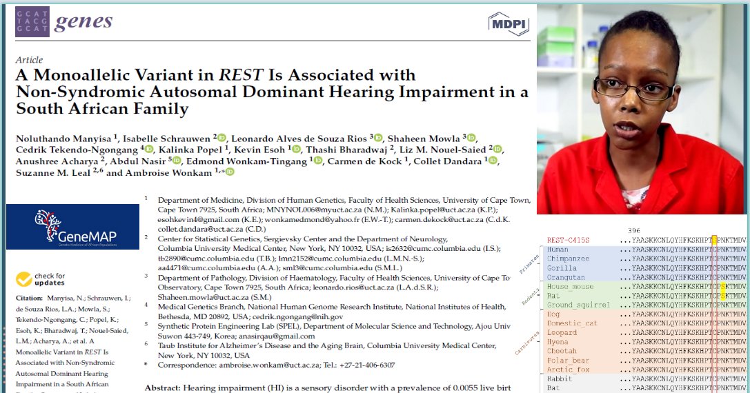 GeneMAPOfficial's tweet photo. A recent publication led by #GeneMAP PhD Fellow, Noluthando Manyisa, describes a monoallelic novel, likely pathogenic, variant that may be implicated in non-syndromic hearing impairment in a South African family. Link-https://t.co/f6p5O5bhAs @MissNManyisa @AESA_Africa https://t.co/QJ88udUX4c