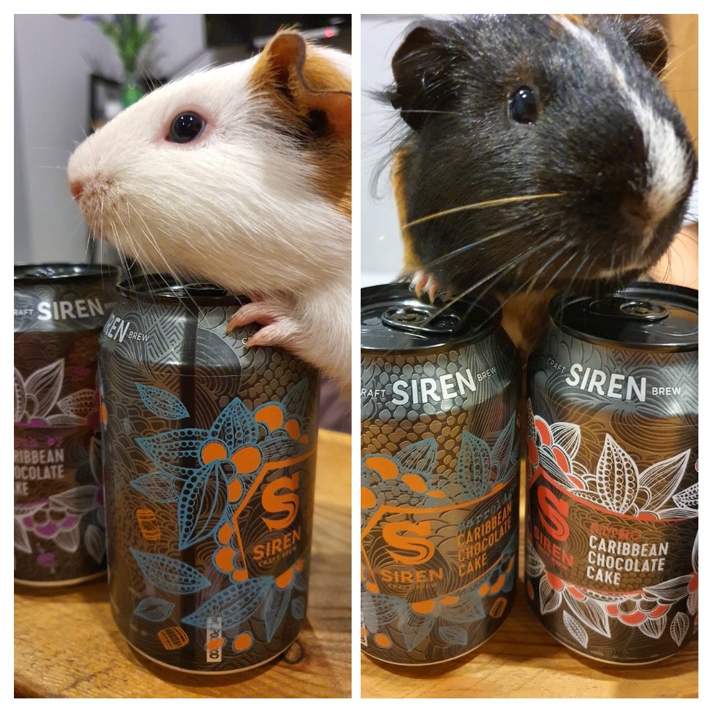 danmayer77's tweet photo. 2019 vs 2020 @SirenCraftBrew #SirenCCC side by side challenge ends not only with evidence of how beer affects my photography but also with a vote from guest #guineapig judges interestingly both torn between nitro & barrel aged. Emile deciding on nitro & Remy on barrel aged! https://t.co/Rxjmaj4eUj