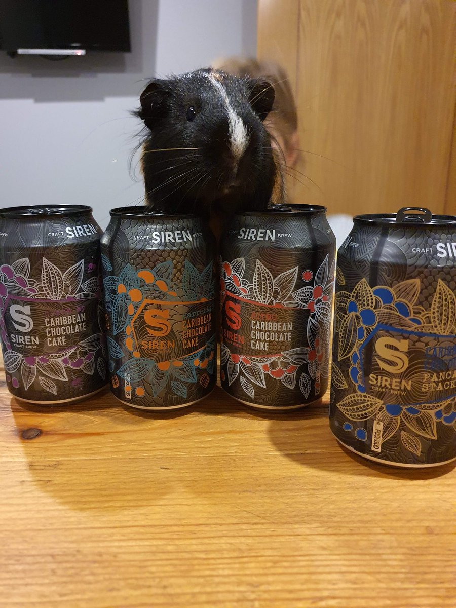 danmayer77's tweet photo. 2019 vs 2020 @SirenCraftBrew #SirenCCC side by side challenge ends not only with evidence of how beer affects my photography but also with a vote from guest #guineapig judges interestingly both torn between nitro & barrel aged. Emile deciding on nitro & Remy on barrel aged! https://t.co/Rxjmaj4eUj