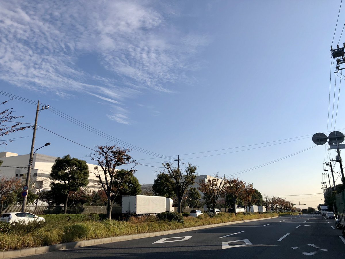 PulptexJ's tweet photo. おはようございます☀
11/17(水)大田区京浜島は晴れ☀️

今日も安全運転で商品をお届けします🚛

ラジオからも🎄ソングが流れてきて、いよいよ年末感がでてきまね🤔
交通量も増えてきてますので、事故にはより一層注意していきます💪

#企業公式が毎朝地元の天気を言い合う 
#企業公式相互フォロー https://t.co/ovKyTNaaZv