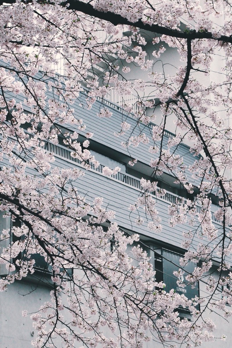 Archillect (@archillect) on Twitter photo 