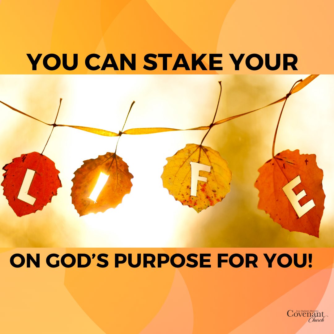 You can stake your life on God’s purpose for you!

#livewithpurpose #goodlife #totaljdm #clouds #jesseduplantis #jdmcc #cathyduplantis