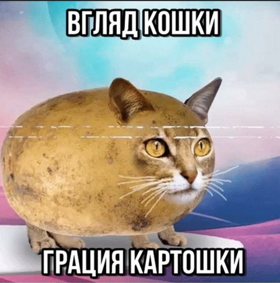 FEWthdNXwAc3WGl?format=jpg&name=900x900