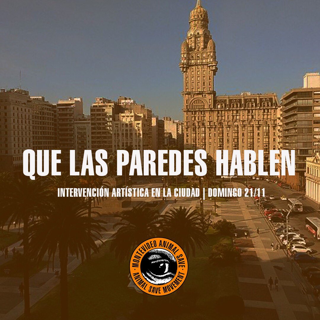 MVDAnimalSave's tweet image. Este domingo 21, luego del mediodía vamos a estar realizando una intervención artística para embellecer y concientizar la ciudad 💚 

Quienes tengan ganas de sumarse, están invitados a escribirnos por privado para recibir más info.