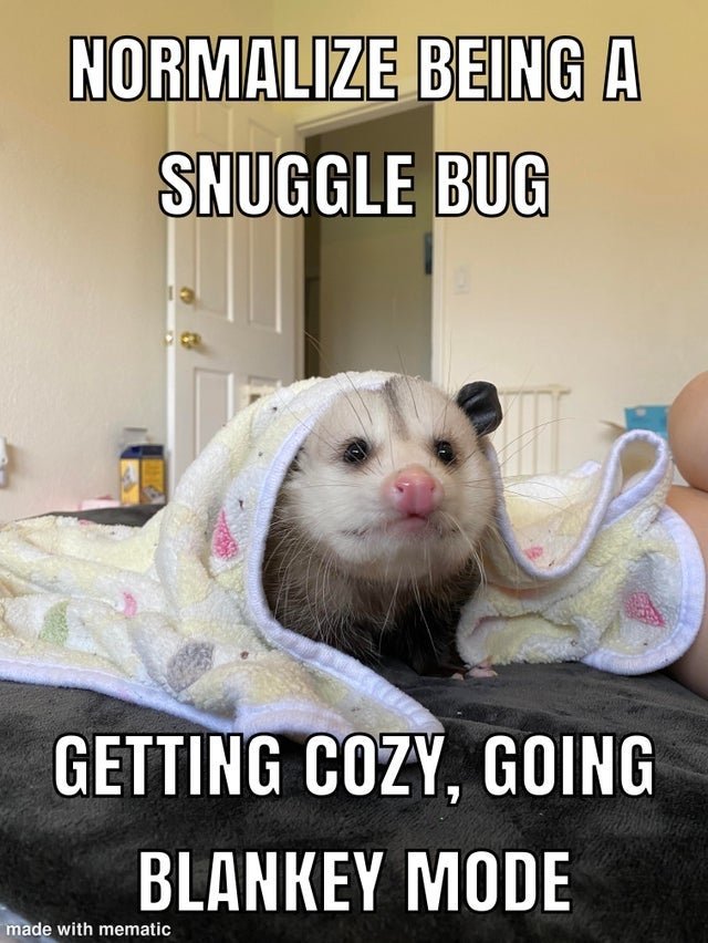 LvndrScentedDog's tweet photo. Normalize being a snuggle bug, getting cozy, going blankey mode https://t.co/zVJ4UDKfMK