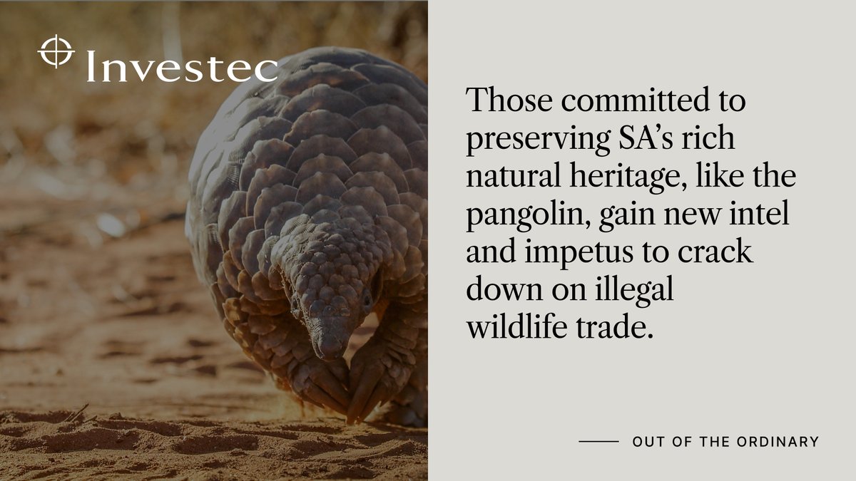 Investec's tweet photo. The SA Anti-Money Laundering Task Force (SAMLIT) releases in-depth report about financial flows associated with illegal wildlife trade in SA. Learn about the implications here: https://t.co/OnIhj3BH4r.
@Sabric @united4wildlife #RhinoLifeline #EndWildlifeCrime #SAMLIT #InvestecSA https://t.co/XdJGq4wUlT