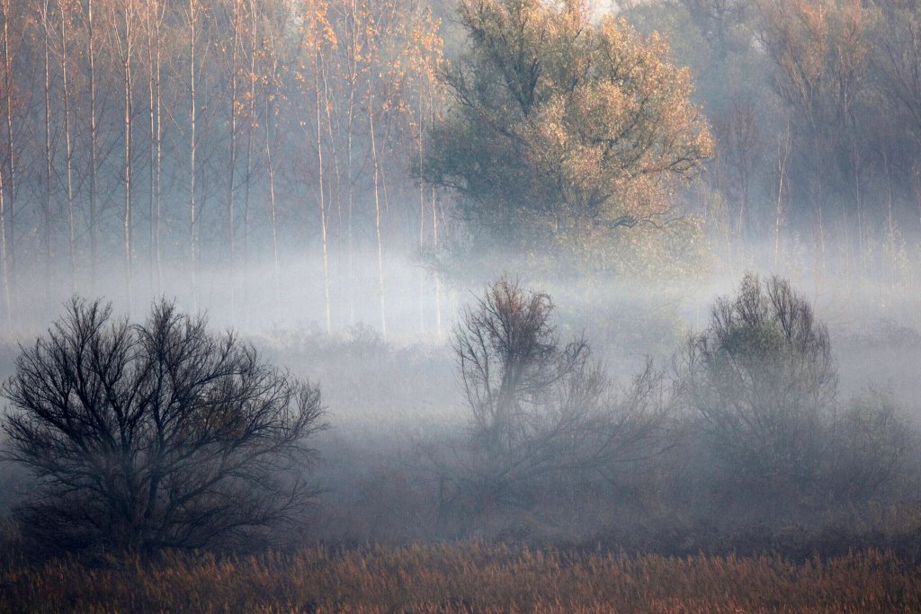 Zeljko2016's tweet image. Добро јутро драги пријатељи моји.🇷🇸☦️🇫🇷😎☕🚬#LPN #2REG Угодан вам нови дан.