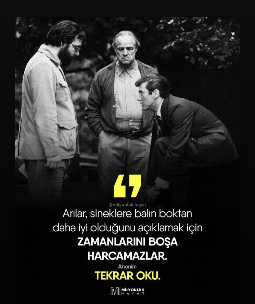 hasanog74's tweet image. #arılar #sinekler