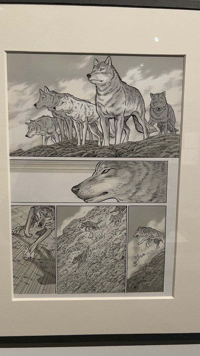 谷口ジロー展行ってきました 