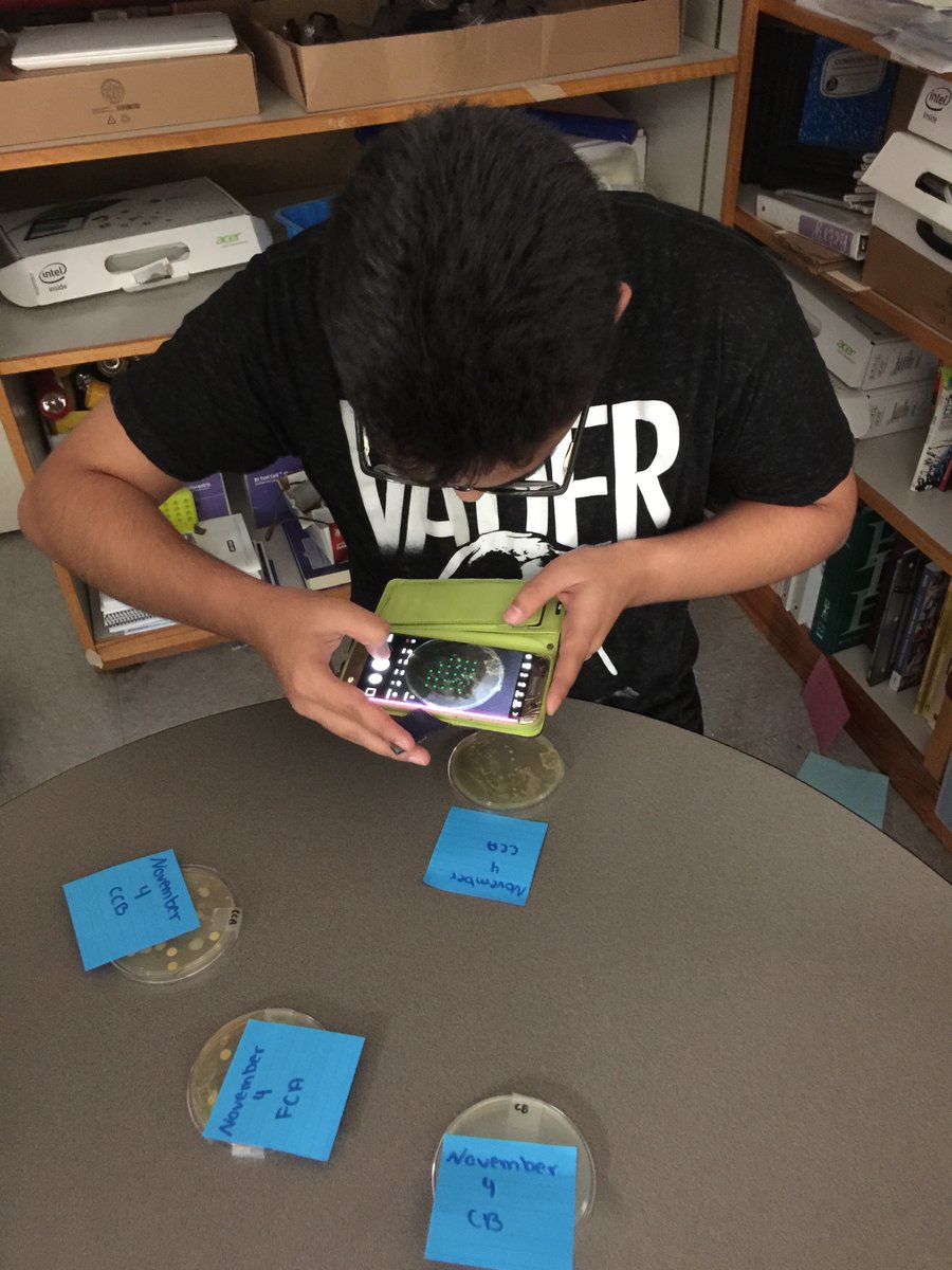 Dr. Catlin Tucker tweet media