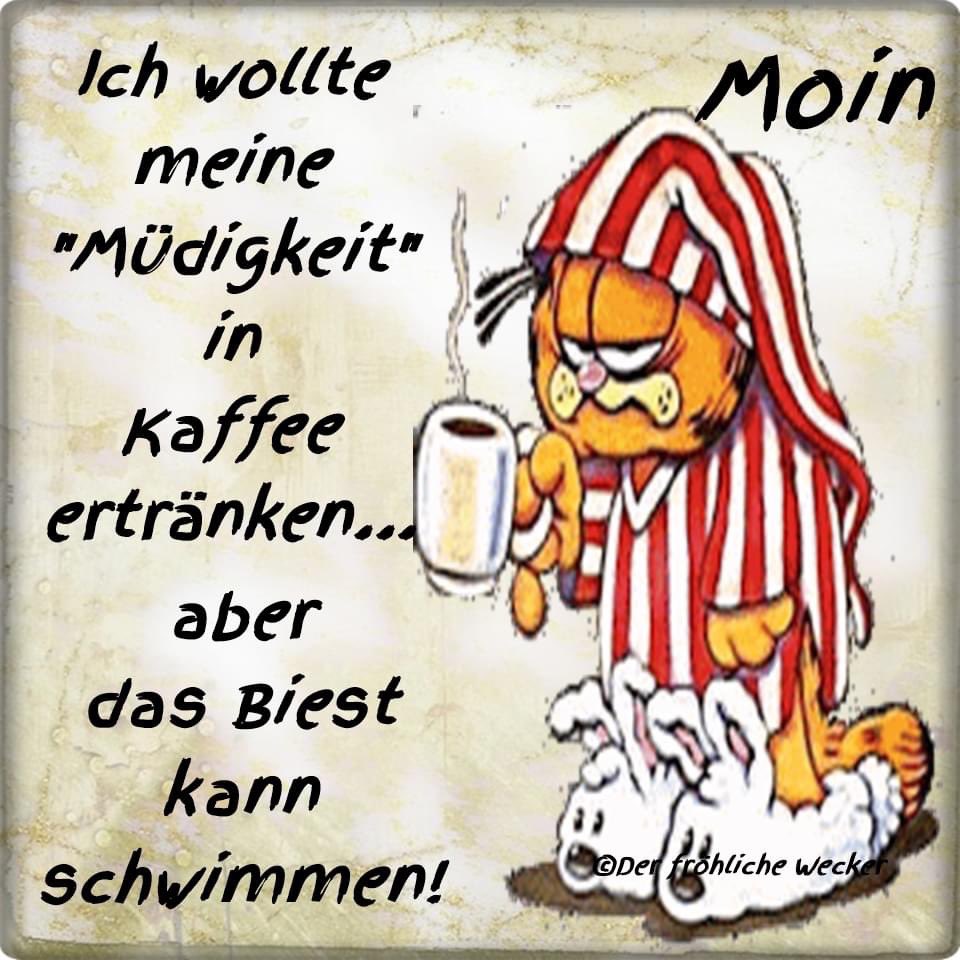 Einen schönen guten Morgen liebe Twittergemeinde ☕️🙋‍♂️☕️und einen erfolgreichen Wochenteiler 🍁☕️🍂🙋‍♂️🍁