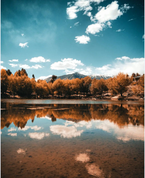 vacationtriang1's tweet photo. Location: 📍Nako Lake
..
Credit: @theculturedpapi
..
Book Your Trip At +91-8278747811
Click for online booking: https://t.co/xXpnr7eOYs
..
..
..
#nakolake #spitivalley #spiti #kaza #himachalpradesh #IndiaPictures #vacationtriangle #funwithfamily #beautifuldestinations #vacations https://t.co/98jaJNHXPT