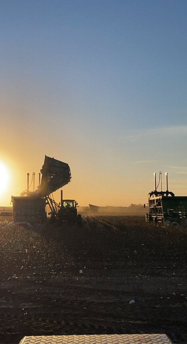 PecosNowlin's tweet photo. #Harvest2021 https://t.co/ootQrBNv6w