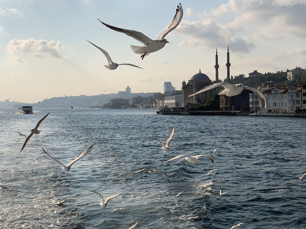 sclaudeV2's tweet photo. Visite de l’école, visites culturelles, réflexion autour de nouveaux scénarios pour notre projet, et enrichissement langagier inter-pays… Ce début de semaine est riche et intense ! #ErasmusPlus #Turquie https://t.co/MwodNvqF9A