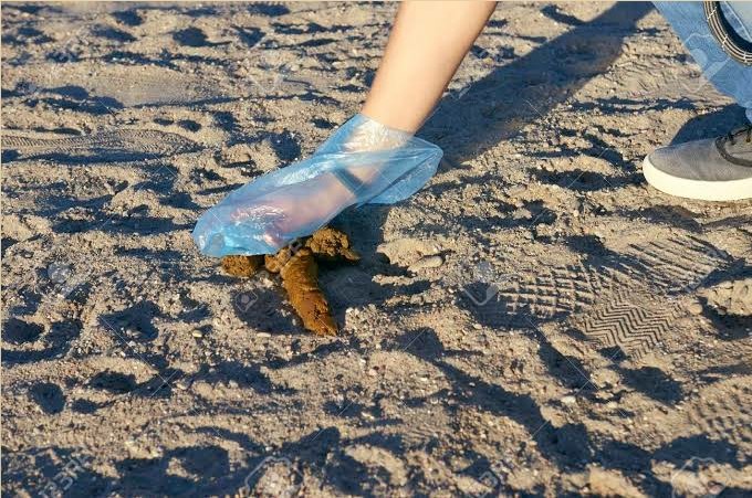 pittwaterdaily's tweet photo. A guide for pet owners on environmentally sound waste disposal practices to protect the recreational waters across the Northern Beaches.
#northernbeaches #palmbeach #monavale #avalonbeach #manly #freshwater #balgolah #curlcurl #deewhy #brookvale #sydney #dogs #beachescape https://t.co/3YI8pqfHhc