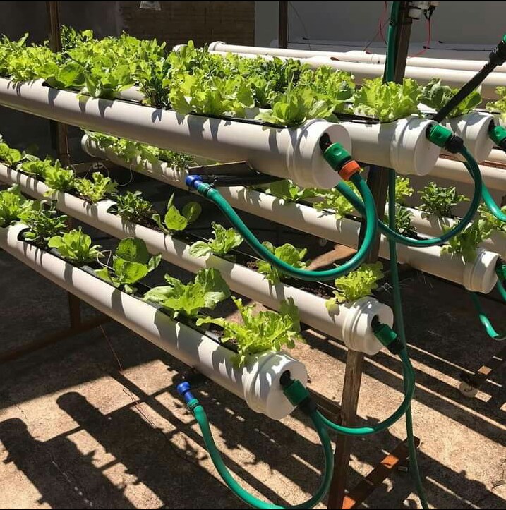 TransFarm Ventures tweet media