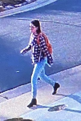 WestminsterPD's tweet photo. We are still looking for Lily and we have no new updates at this time. Please follow us here for updates. We will be the official source of information #missinglily https://t.co/RJJtz09M8K