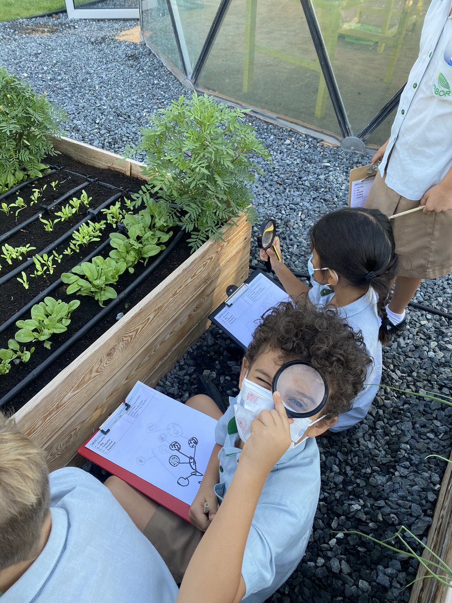 ArborEnviro's tweet photo. A is for... Accurate! 📝🌿 @ArborYear2 have been using their ABCDE checklist to create scientific drawings based on the special plants we have in our Biopark. Can you spot the zoom bubbles giving you lots of detail?

#Ecoliteracy #ArborSpecialPlaces #FieldWork #PlaceBasedLearning https://t.co/sqvEYDePTC