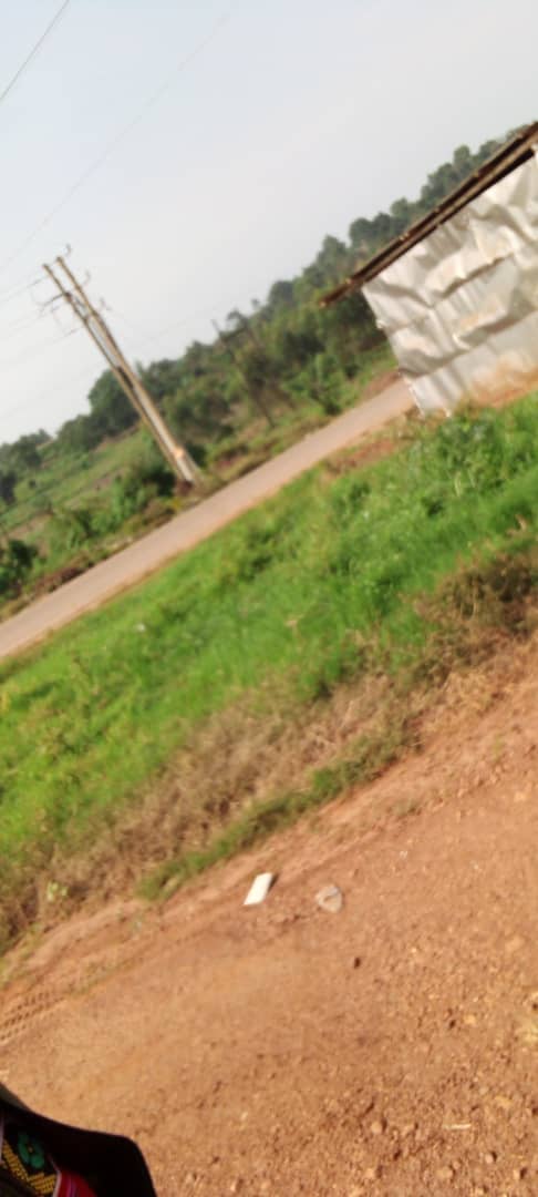 ThreeWays14's tweet photo. 20 Decimal plot in Wakiso-town slightly after centenary bank at only 420Million.
Give us a call on 0393193201 or 0759319966
WhatsApp on 0752721763
#threewayspropertyconsultants
#naweosoobolaokubeeralandlordkati 
#tamalegeorgewilliam 
#affordablehousing https://t.co/bvCJ7xk6AH