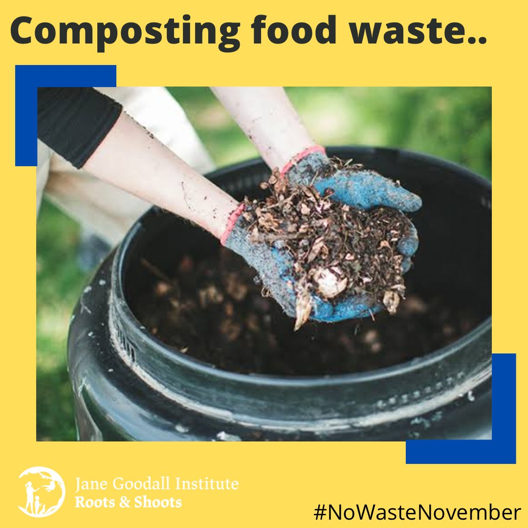 Composting is a wonderful way to use the remains of food you have prepared. Not only will your garden benefit from the added nutrition, but some peels and pips sprout and can be planted!