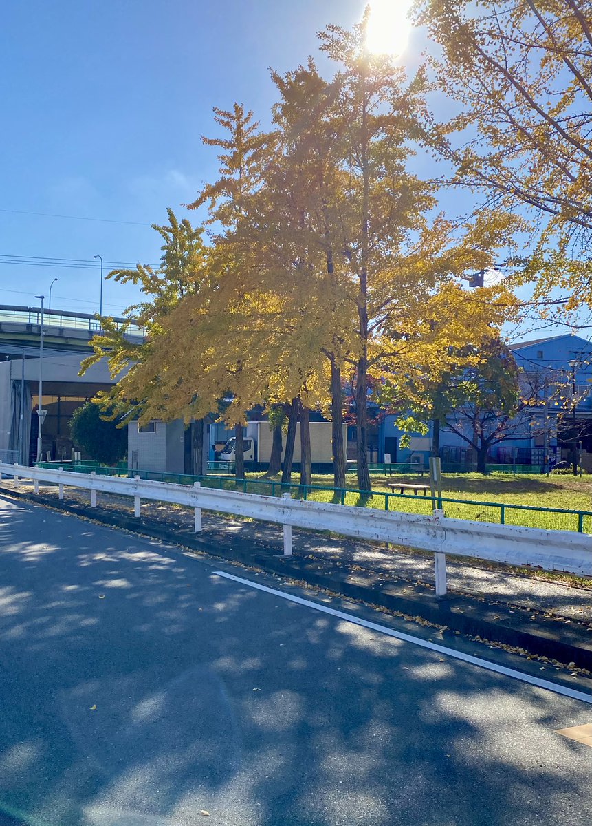 connetta_jp's tweet photo. 当店から自転車で約20分、同じ名古屋市西区のリノカフェさん。知る人ぞ知る隠れ家的なお店です。

パスタもコーヒーもケーキも美味しくて、すごく落ち着きます。今日は目の前の公園の木がキレイでした。 https://t.co/D7uskeibBO