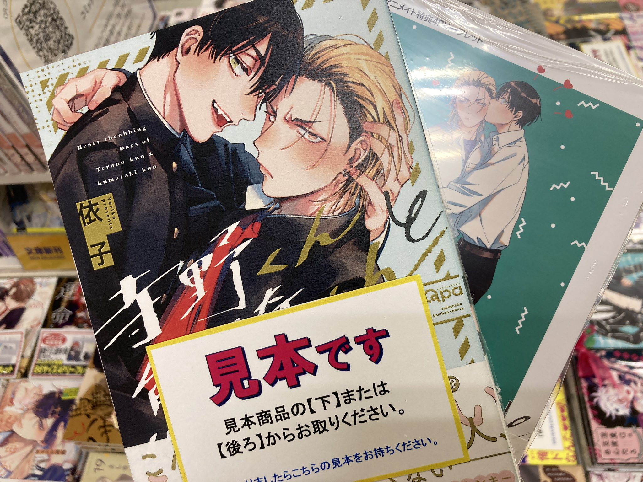 依子　寺野くんと熊崎くん　特典　リーフレット　カード 依子『寺野くんと熊崎くん』アニメイト特典 リーフレット【BL